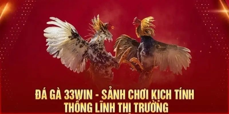 Tổng quan về sảnh AOG Đá gà 33Win